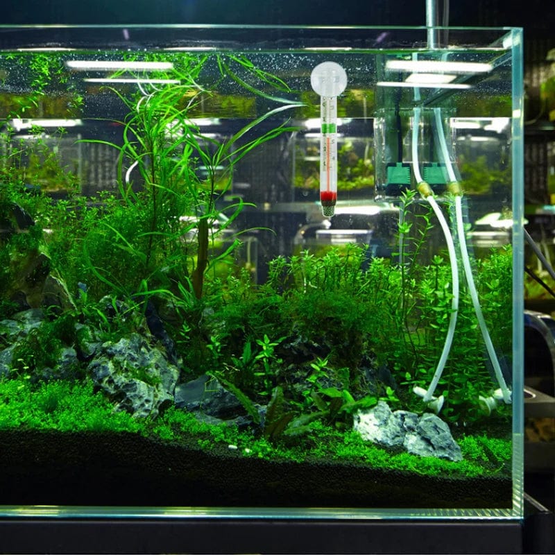 Aquarium Thermometer mit Saugnapf für präzise Temperaturmessung 1