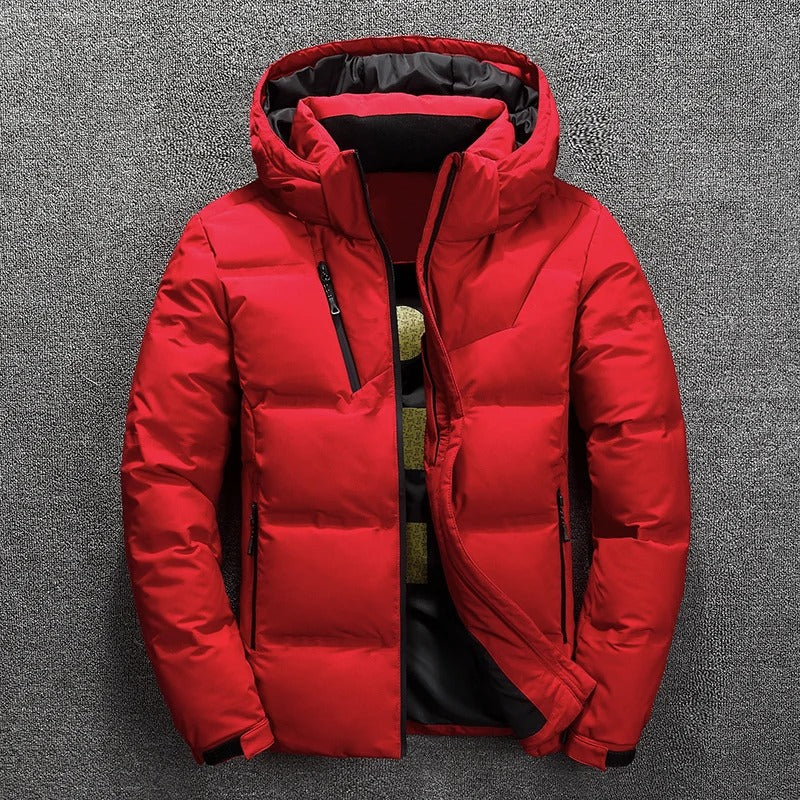 Herren Jacke Winter Puffer Daunenmaterial Modernes Design 2