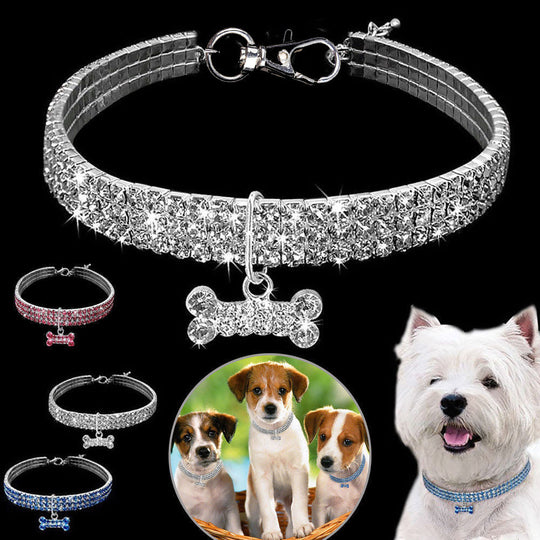 Hunde- und Katzenhalsband mit Glitzer und Strass für besondere Anlässe 1