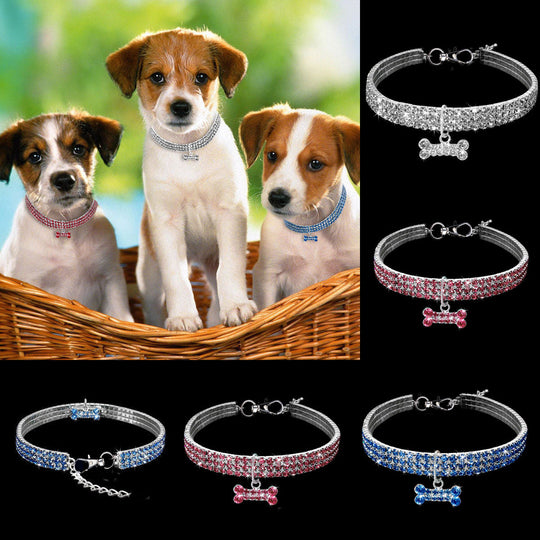Hunde- und Katzenhalsband mit Glitzer und Strass für besondere Anlässe 4