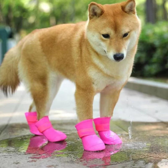 Hunde Stiefel Wasserdicht für Outdoor-Aktivitäten Anti-Rutsch Design 1