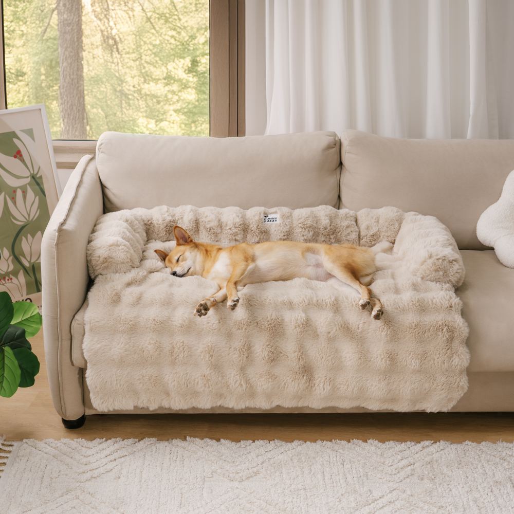 Hundebett PlushNest für Haustiere – Gemütliches Hundesofa mit Rutschfester Unterseite und Vielseitigem Design 2