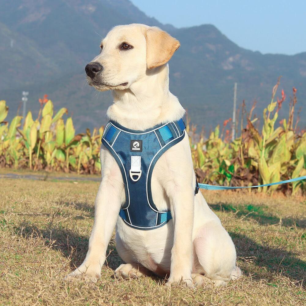 Hundegeschirr Gepolstert Mit Verstellbaren Trägern Und Reflektierenden Streifen 0