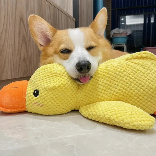 Interaktives Hundespielzeug FlappyDuck mit Geräuschen für Aktive Beschäftigung und Spielspaß 0