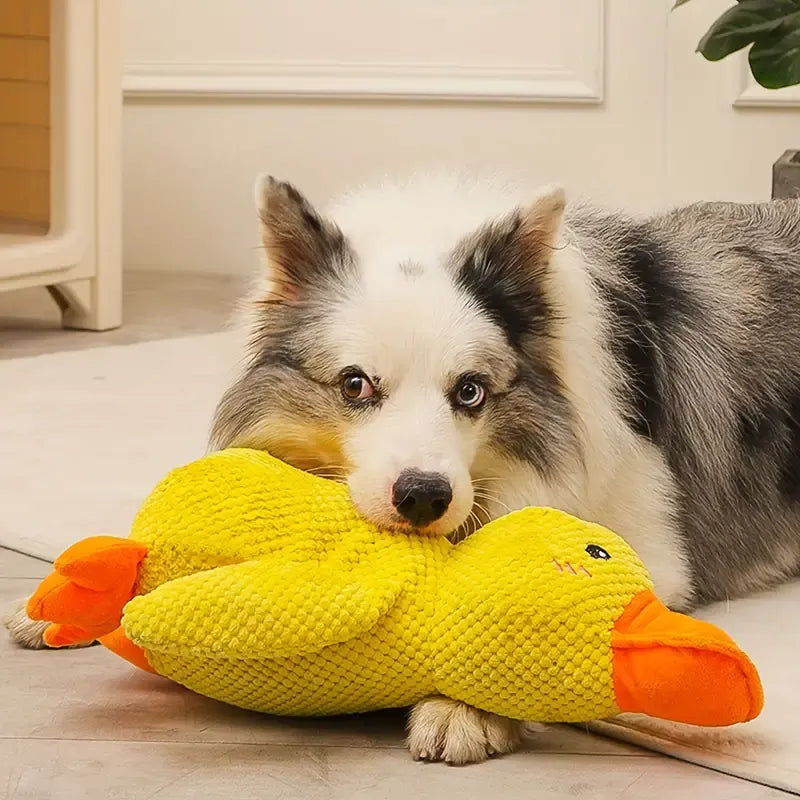 Interaktives Hundespielzeug FlappyDuck mit Geräuschen für Aktive Beschäftigung und Spielspaß 1