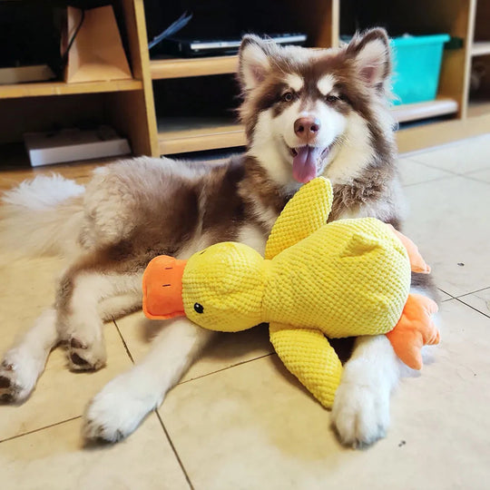 Interaktives Hundespielzeug FlappyDuck mit Geräuschen für Aktive Beschäftigung und Spielspaß 2