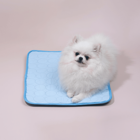 Kühlmatte für Hunde Innovatives Design für Sommerkomfort 2