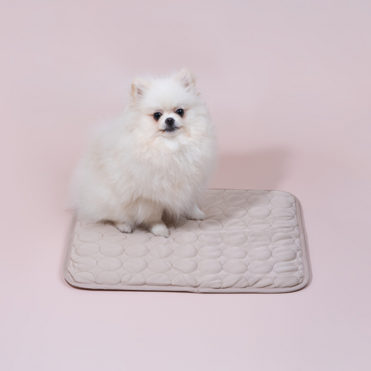 Kühlmatte für Hunde Innovatives Design für Sommerkomfort 3