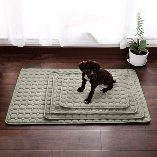 Kühlmatte für Hunde Innovatives Design für Sommerkomfort 4
