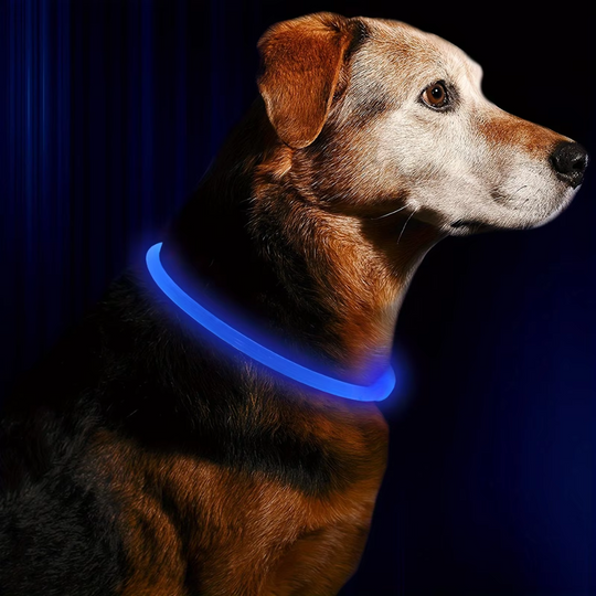Leuchthalsband Hund LED Wiederaufladbar Verstellbar für Sicherheit bei Abendspaziergängen 10