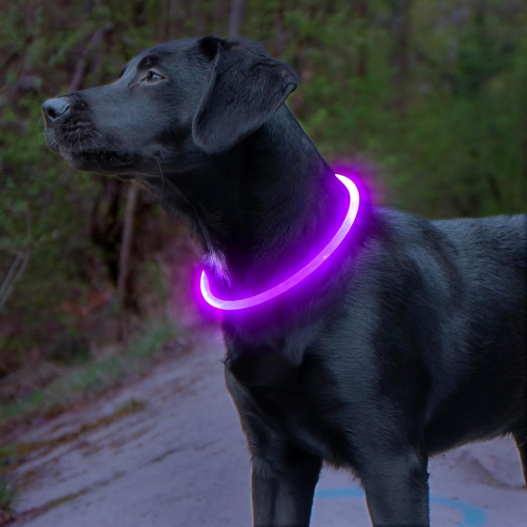 Leuchthalsband Hund LED Wiederaufladbar Verstellbar für Sicherheit bei Abendspaziergängen 2