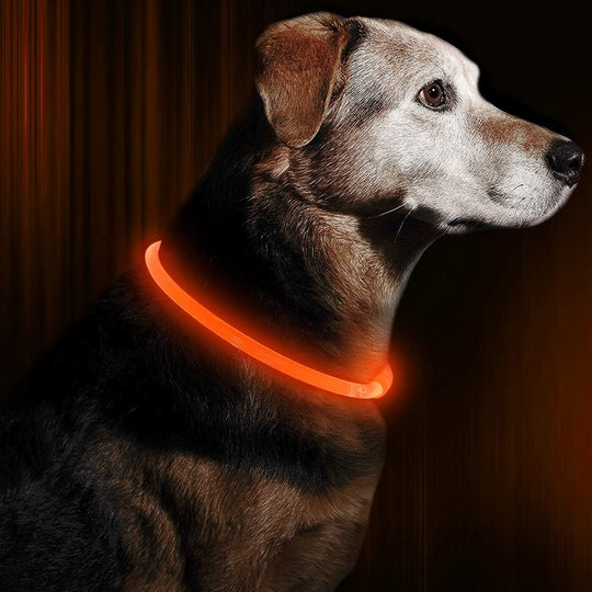 Leuchthalsband Hund LED Wiederaufladbar Verstellbar für Sicherheit bei Abendspaziergängen 3