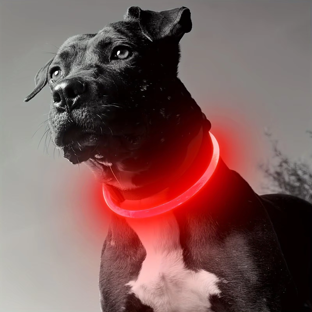 Leuchthalsband Hund LED Wiederaufladbar Verstellbar für Sicherheit bei Abendspaziergängen 7