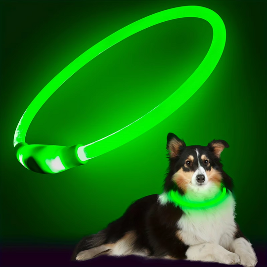 Leuchthalsband Hund LED Wiederaufladbar Verstellbar für Sicherheit bei Abendspaziergängen 9